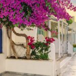 View of Oia street in the mornong