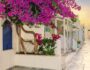 View of Oia street in the mornong